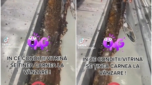 Scene oripilante în vitrina cu carne a unui magazin alimentar! Ce au descoperit inspectorii ANPC