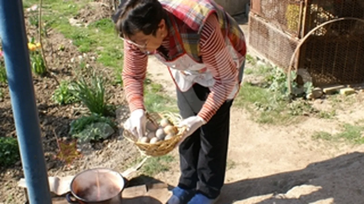 Oua incondeiate dupa gratii sau vopsite ecologic