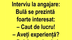 BANC | Bulă se prezintă la un interviu de angajare