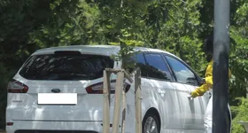 Galerie foto - poza 3