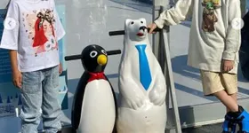 Galerie foto - poza 3