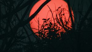 Cele 3 zodii date peste cap total de Luna Căpșunilor, din 11 iunie. Schimbări radicale