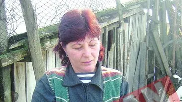 Miel cu sase picioare intr-o comuna din Dolj