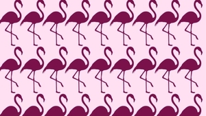 TEST IQ | Găsiți care pasăre flamingo este diferită de toate celelalte