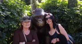 Galerie foto - poza 1