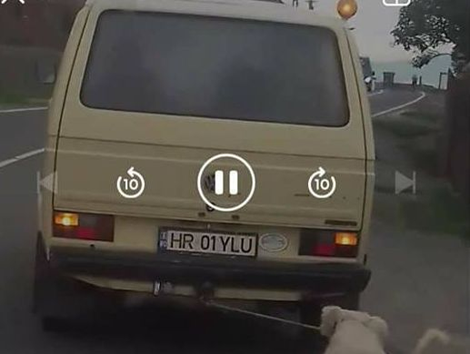 Un șofer din Harghita și-a legat câinele de mașină și la târât pe șosea! Imagini înfiorătoare
