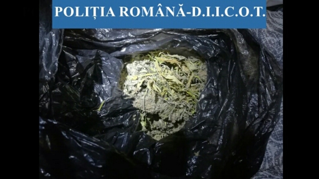 Droguri de risc, descoperite de polițiști! În urma descinderilor...