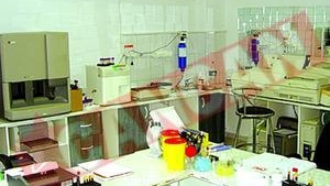"Capsunarii" fac teste de paternitate pe banda rulanta