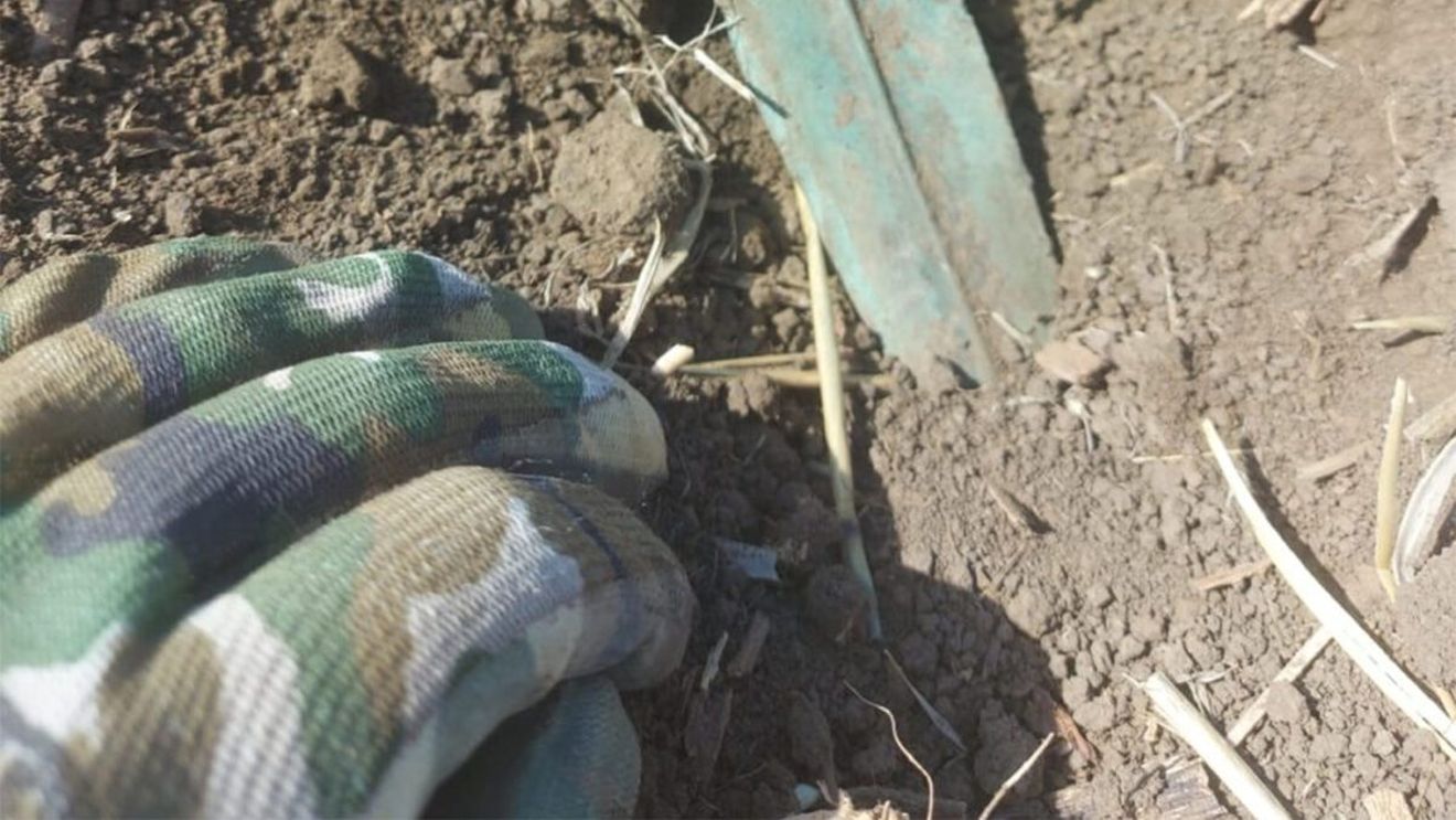 Descoperire fabuloasă în Iași! Ce a găsit Cezar pe un câmp proaspăt arat din comuna Miroslava