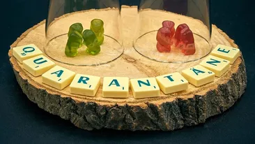 Patronul cofetăriei din Târgoviște, primele declarații despre angajații care s-au infectat cu noul coronavirus