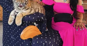 Galerie foto - poza 3