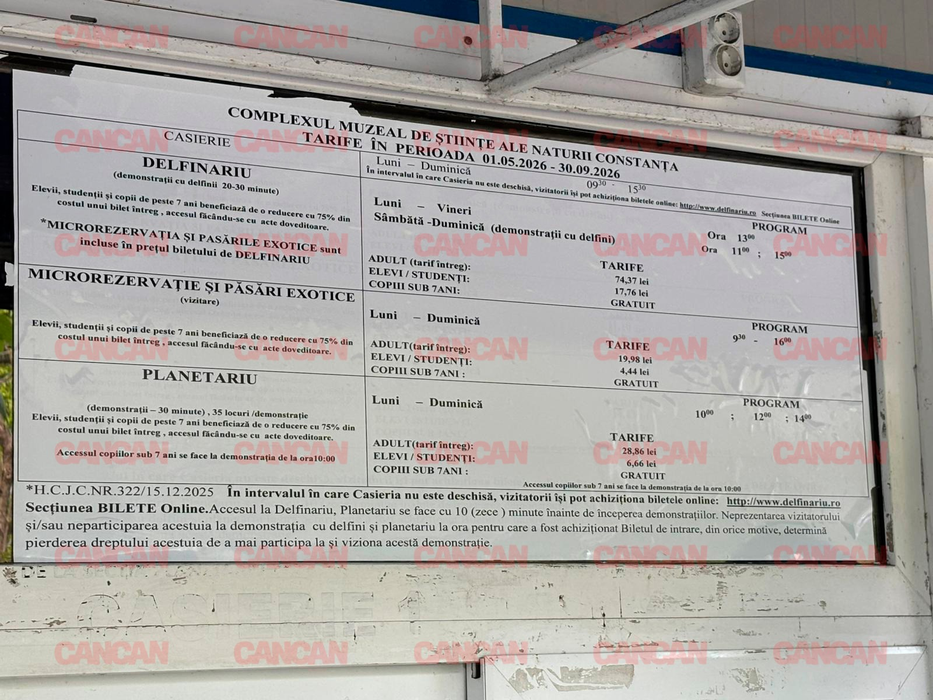 Cât costă un bilet la Delfinariu din Mamaia? Un adult trebuie să plătească aproape 75 de lei pentru a lua parte la o demonstrație