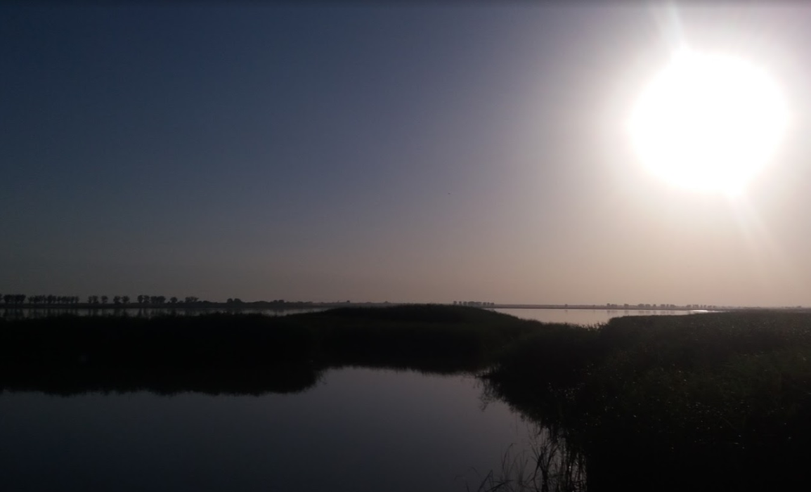 Lacul Bistreț este refugiul a mii de specii de păsări
