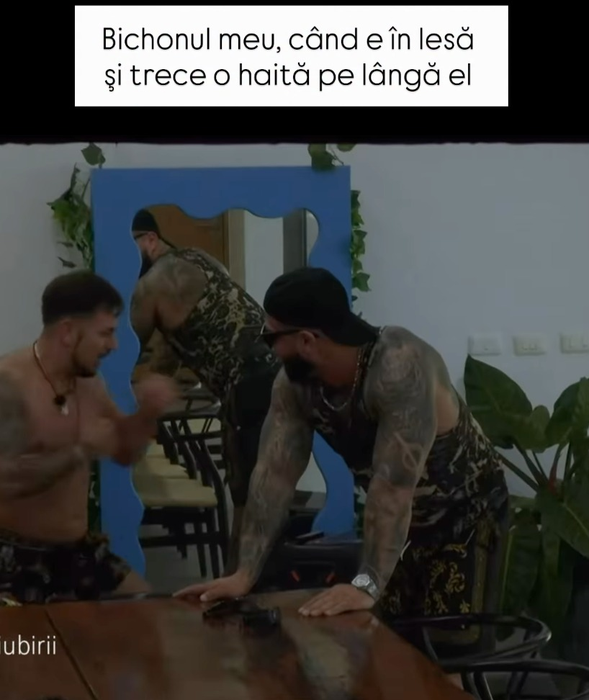 Meme-uri Insula iubirii 2026/ sursă foto: Larisa Andreescu