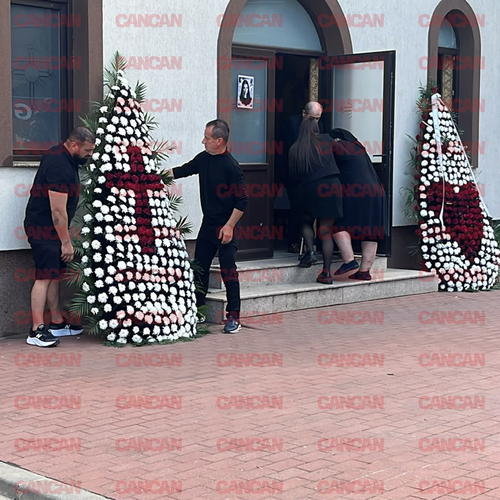 Imagine Galerie #1
