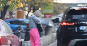 Galerie foto - poza 2