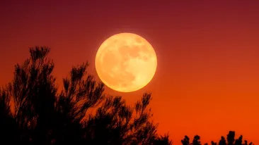 Luna Nouă 2020: Cum îţi afectează personalitatea fazele lunii în funcție de zodie