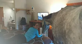 Galerie foto - poza 2