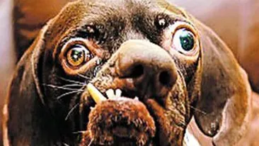 Sunt urat, da' ma iubeste cineva!