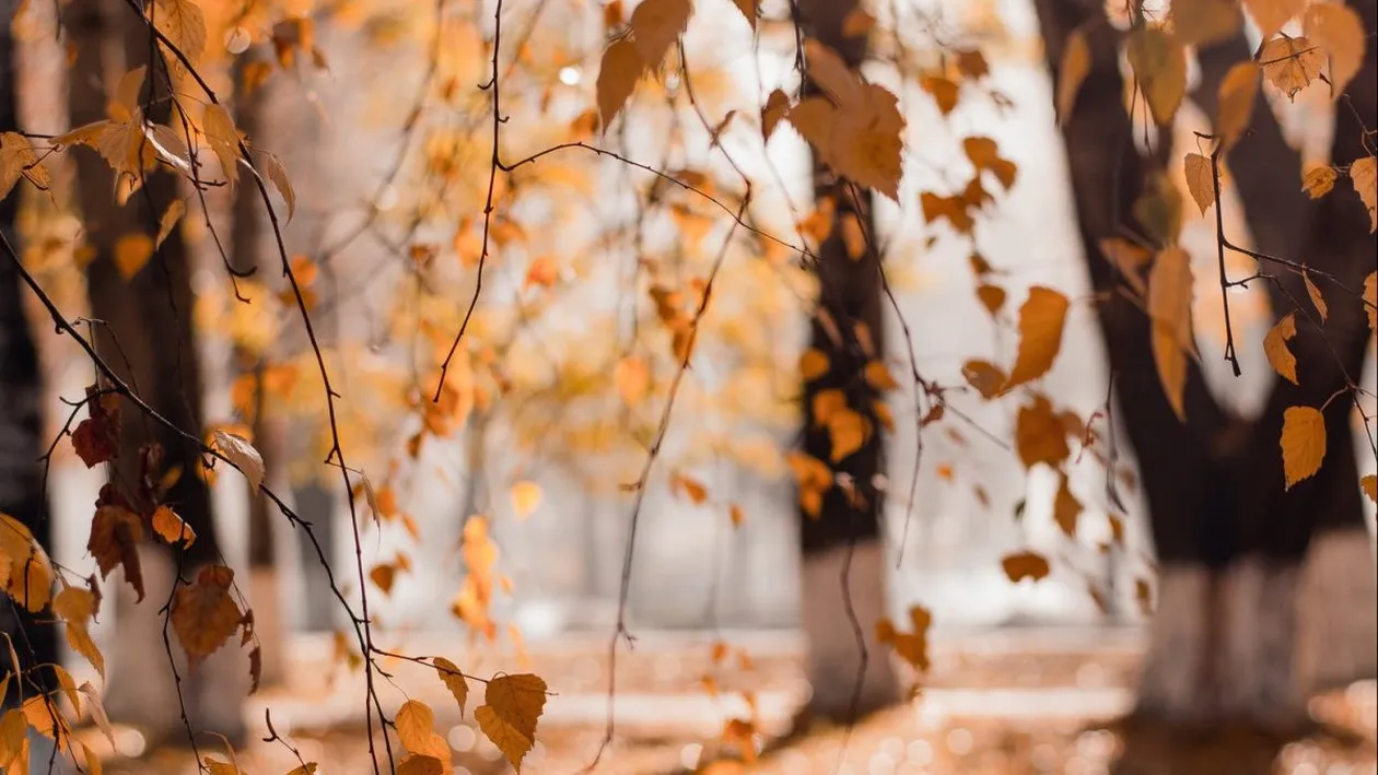 Vara a ajuns la final. Prognoza meteo pe luna septembrie