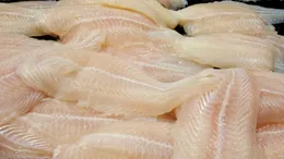 6 pești TOXICI, de evitat ️ Au foarte mult MERCUR