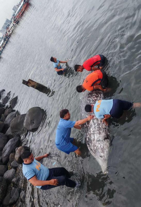 sursă foto: Facebook: Coast Guard District Southeastern Mindanao