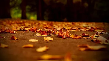 Ce surpriză ne-a pregătit vremea! Meteorologii au anunţat cum va fi vremea începând de mâine