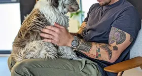 Galerie foto - poza 1