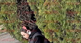 Galerie foto - poza 3