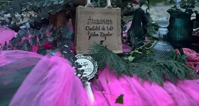 Galerie foto - poza 3