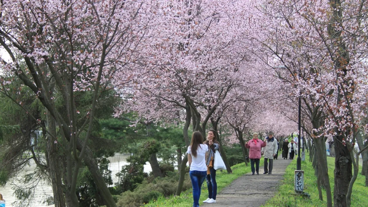 METEO 23 APRILIE: Cum va fi vremea astăzi