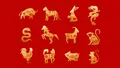 Zodiac chinezesc pentru luni, 20 mai 2024. Tigrul are parte de o trădare