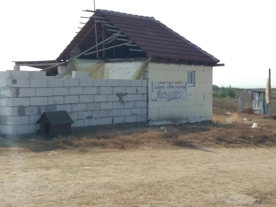 400 de câini, în pericol de a muri de foame