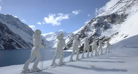 Galerie foto - poza 4