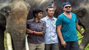 LEONARDO DICAPRIO ar putea fi alungat din Indonezia. Motivul este ireal!