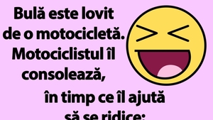 BANC | Bulă este lovit de o motocicletă