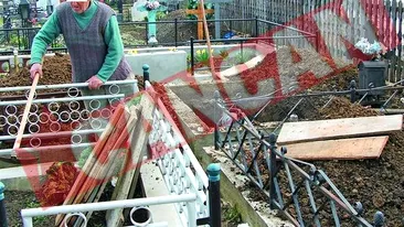 Copii profanatori de morminte