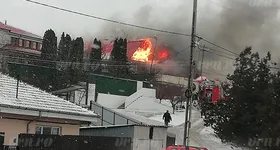 Galerie foto - poza 3