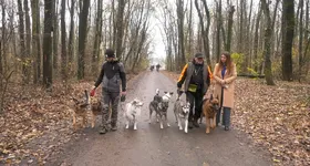 Galerie foto - poza 3