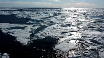 Asta schimba totul! Descoperirea colosala facuta de cercetatorii rusi in Oceanul Arctic