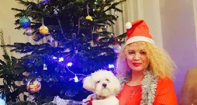 Galerie foto - poza 4