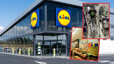 Românii au golit supermarketurile, de frica ciclonului Barbara. Cum arată acum rafturile în LIDL Constanța