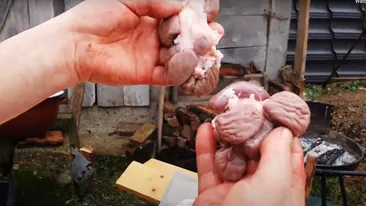 Proprietarului nu i-a venit să creadă! Porcul sacrificat de Crăciun în Sălaj avea 14 rinichi