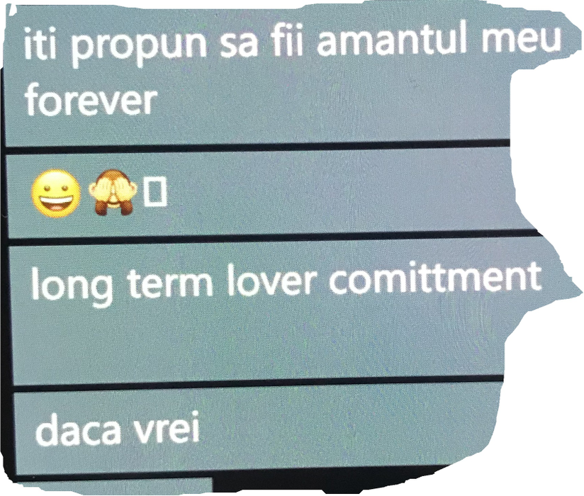 Schimb de mesaje între Maria Lucia Hohan si fostul membru al Guvernului