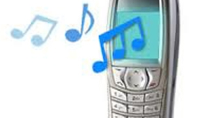 Un hot a fost prins sub pat, dupa ce i-a sunat telefonul mobil