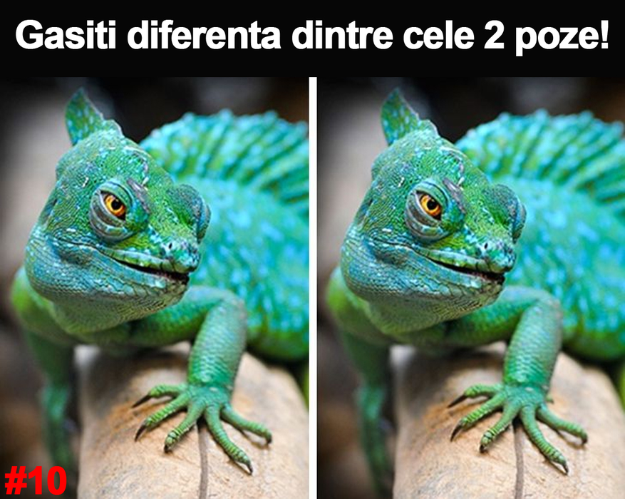 Super-test IQ cu 10 întrebări | Prima: Câte pătrate sunt în total? 95% nu văd ultimul pătrat