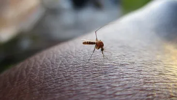 Virusul care face din nou victime în România! 17 persoane s-au îmbolnăvit în ultima perioadă