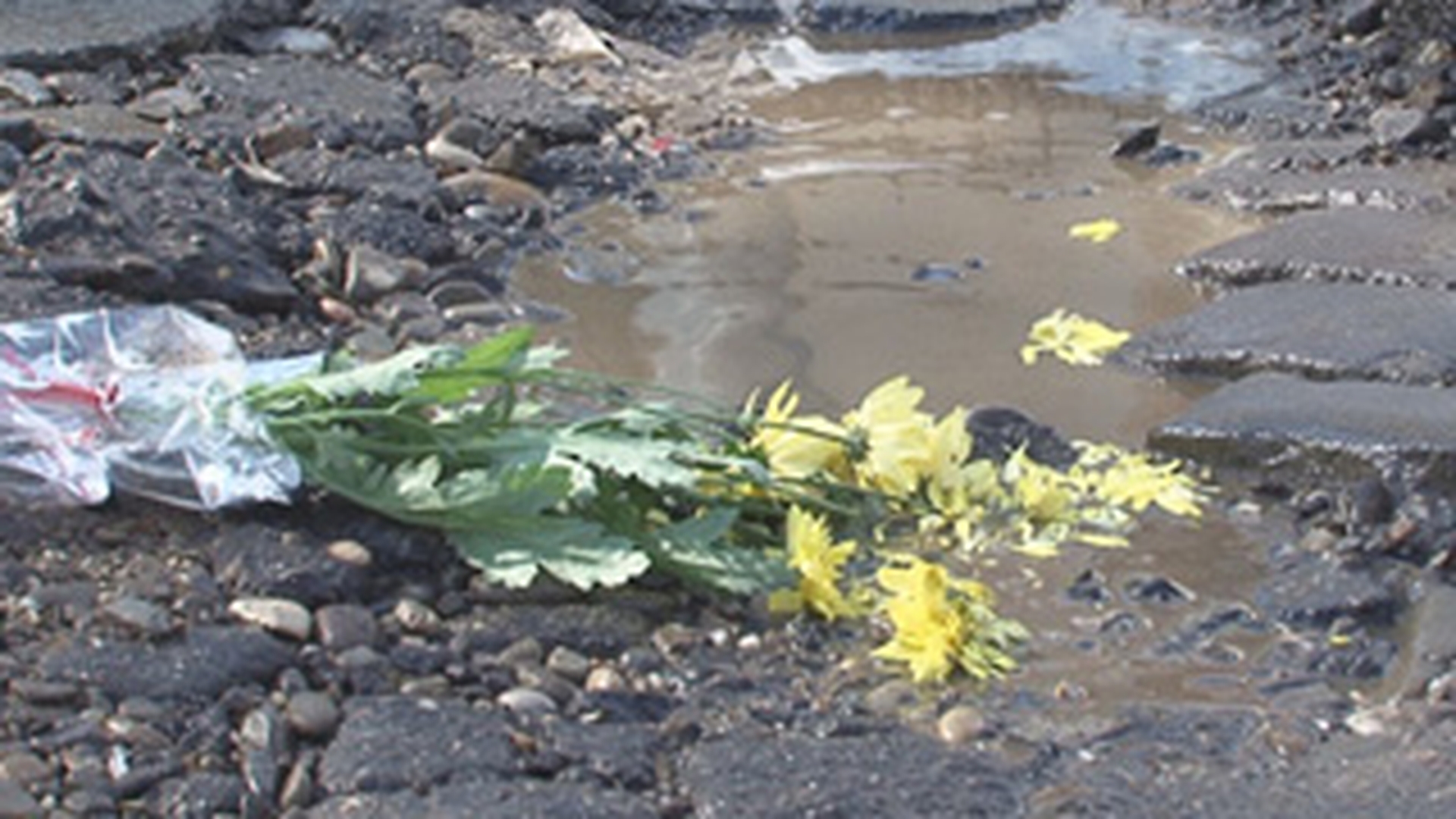 FOTO O groapa din Ploiesti are cont pe Facebook! De 1 Martie, autorul contului i-a adus flori