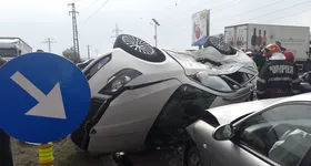 Galerie foto - poza 3