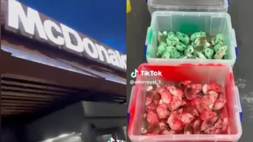 Imaginile surprinse într-un MC Donald's au tulburat întreaga planetă. Șoareci eliberați în restaurant, vopsiți în culorile Palestinei